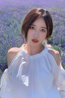 美人奴